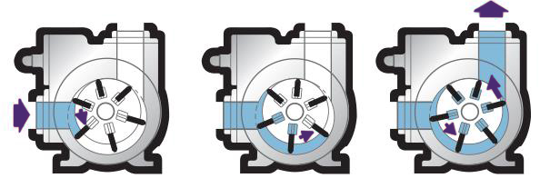 旋片泵設(shè)計(jì)